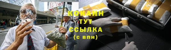 apvp Абаза