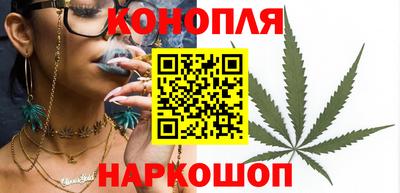 Альфа ПВП Чебоксары