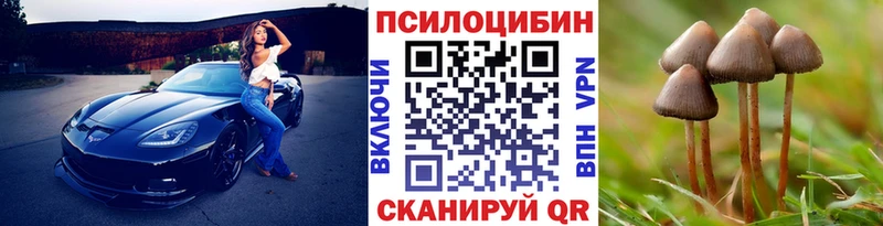 Псилоцибиновые грибы Psilocybine cubensis  Тында 
