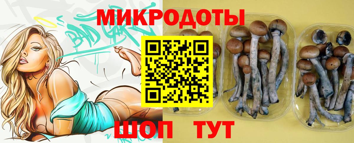 Галлюциногенные грибы Cubensis Тында
