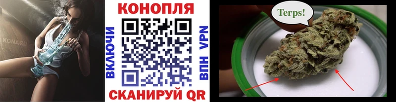 Каннабис OG Kush  где продают   MEGA как войти  Тында 